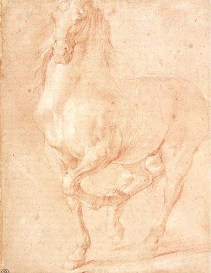 Study of a Horse